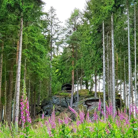 Schoene Ruhige * 탐바크다타츠